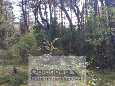 Działka Popowo-Letnisko