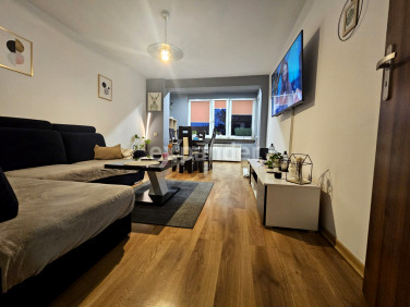 Mieszkanie Sosnowiec sprzedaż