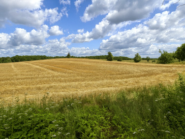 Działka budowlano-rolna Bytów