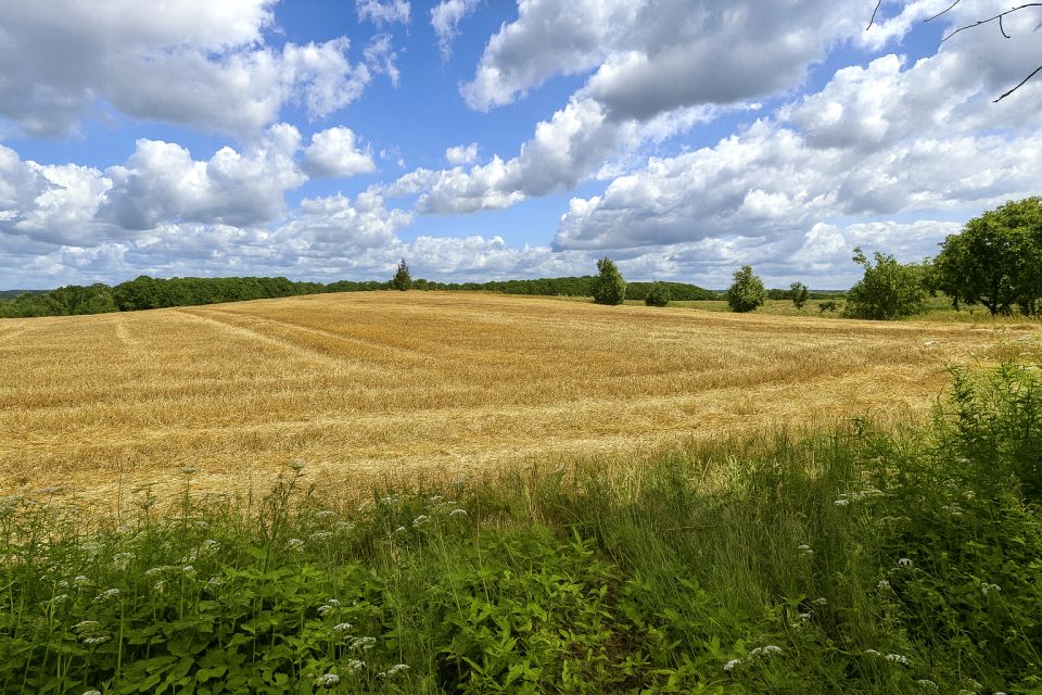 Działka budowlano-rolna Bytów