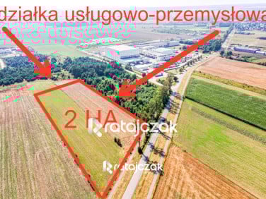 Działka przy lesie