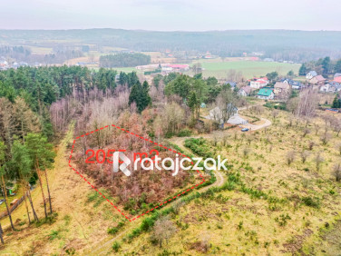Działka przy lesie