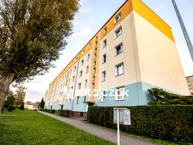 Mieszkanie przy lesie