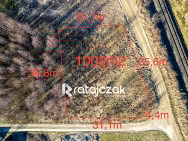 Działka przy lesie