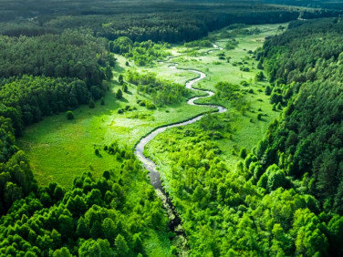 Działka rolna Ruda