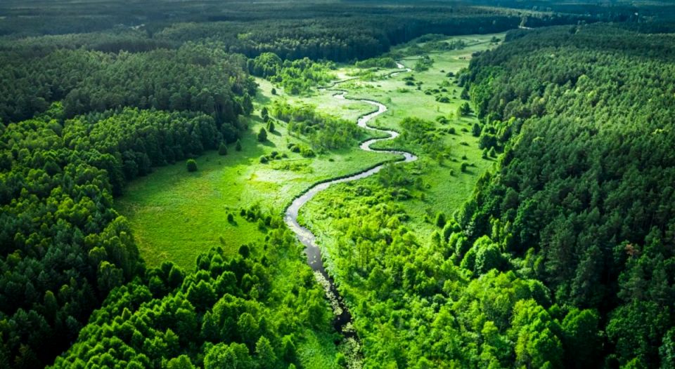 Działka rolna Ruda