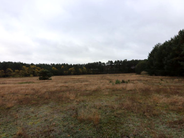 Działka inwestycyjna Trzebów