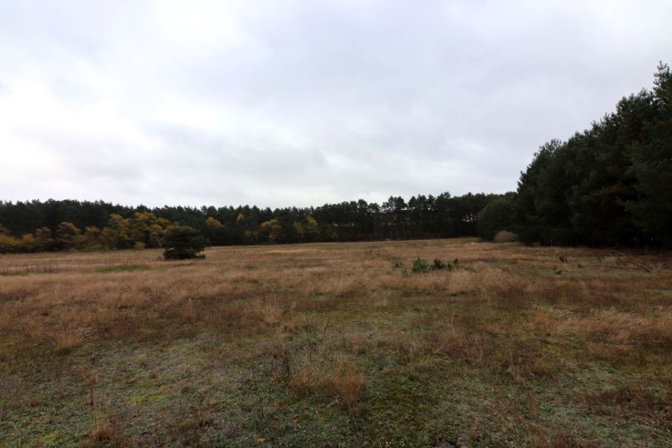 Działka inwestycyjna Trzebów