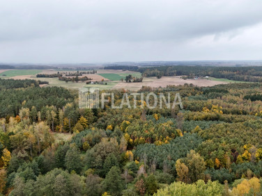 Działka przy lesie