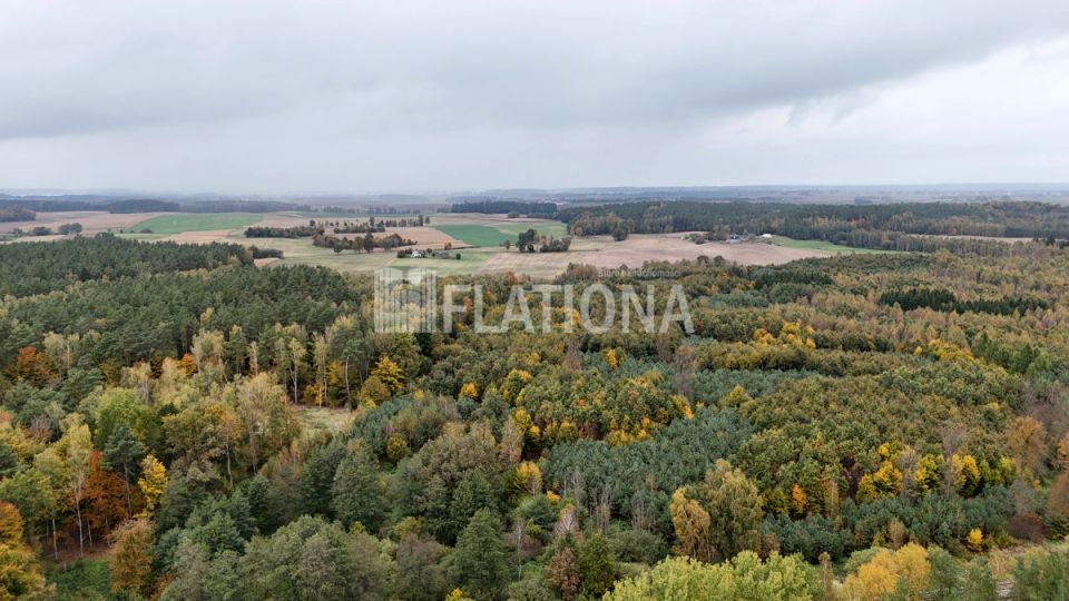 Działka przy lesie
