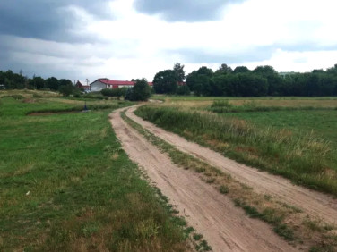 Działka budowlana Świerczyna