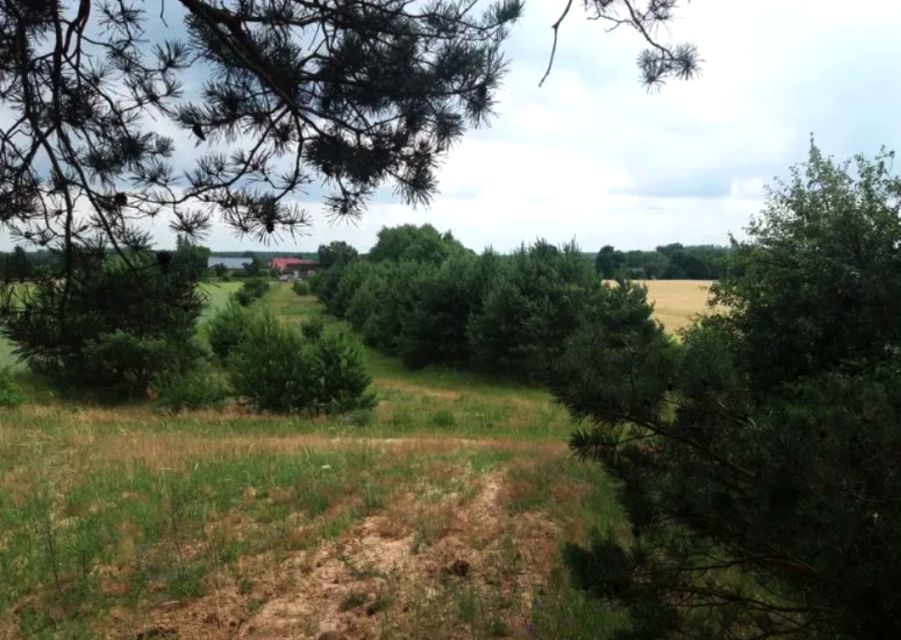 Działka budowlana Świerczyna