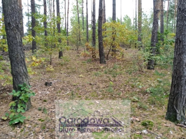 Działka budowlana Wilcza Góra