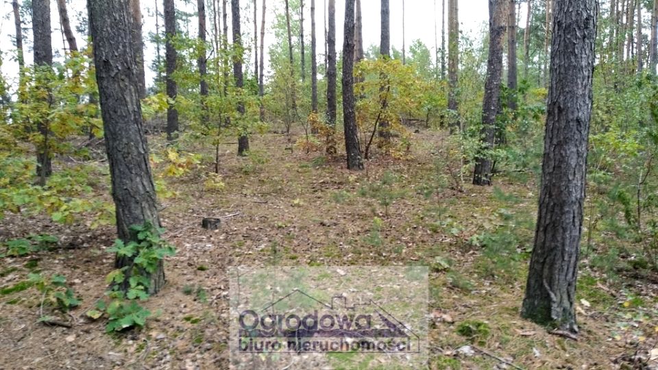 Działka budowlana Wilcza Góra