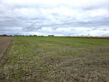 Działka przemysłowa sprzedam