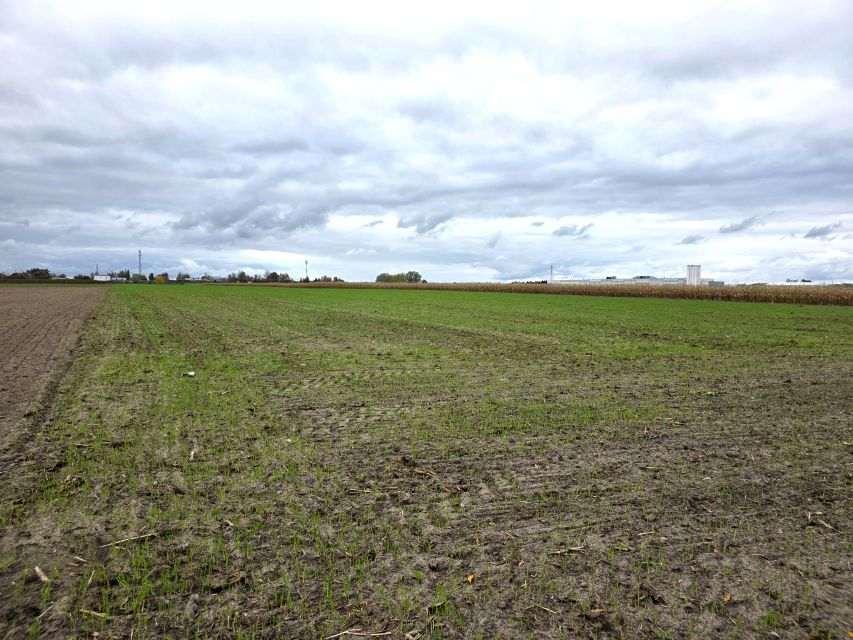 Działka przemysłowa sprzedam