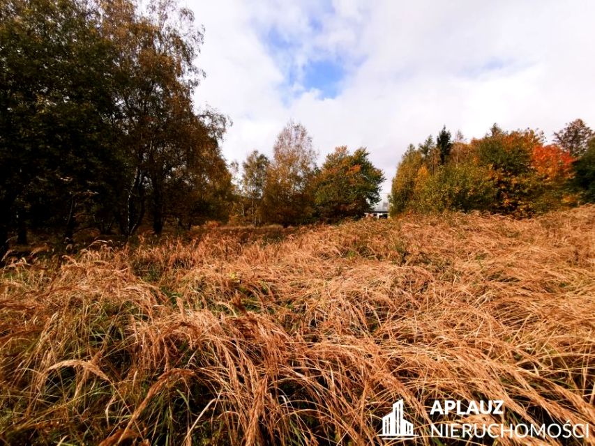 Działka rolna Antoniów sprzedam