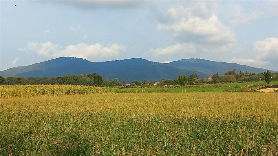 Działka budowlana Ustroń