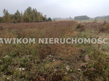 Działka budowlana Skierniewice