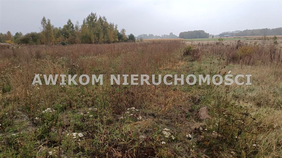 Działka budowlana Skierniewice