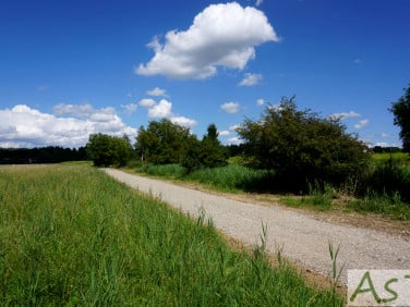 Działka budowlana Brzezie