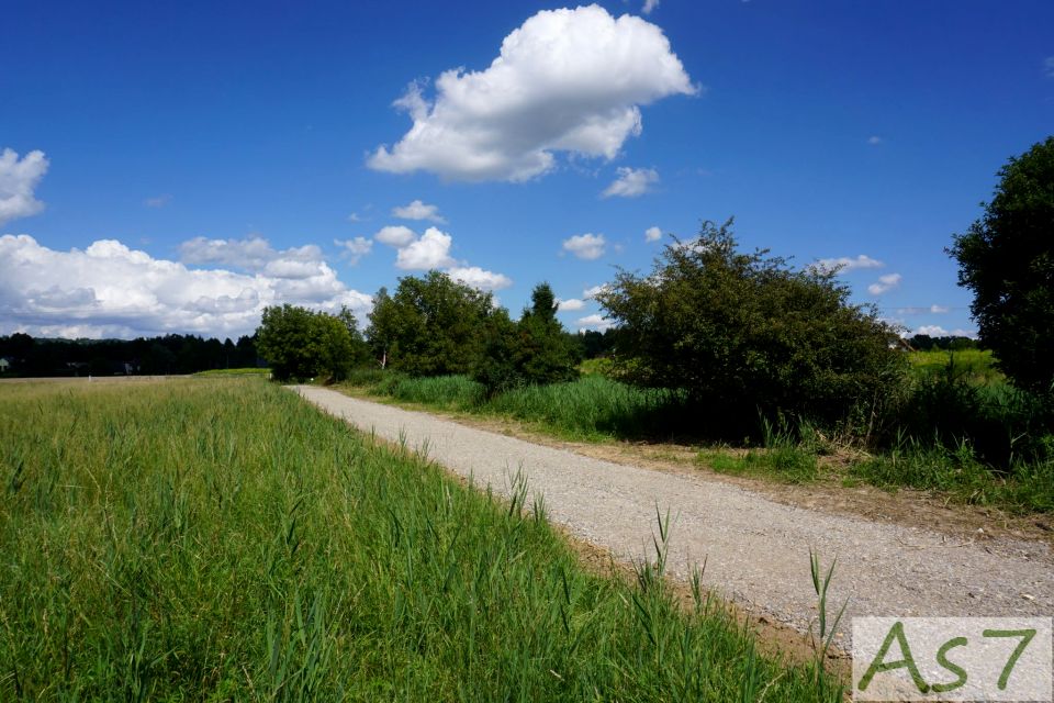 Działka budowlana Brzezie