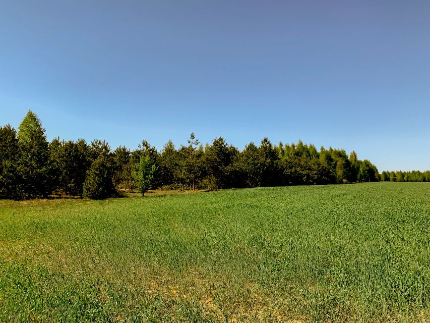 Działka rekreacyjna Skarżysko-Kamienna
