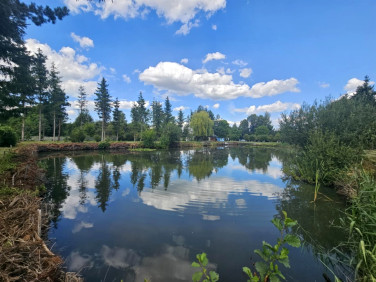 Działka rekreacyjna Ogrodzisko