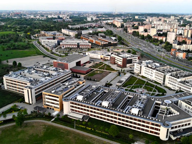 Lokal Kraków