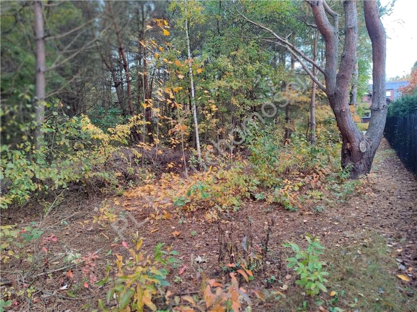 Działka Strzeniówka