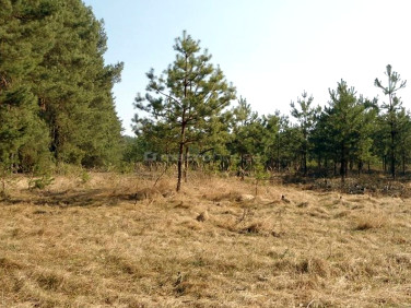 Działka budowlana nowa dąbrowa