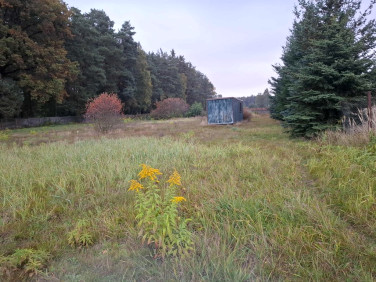 Działka Wielka Wola