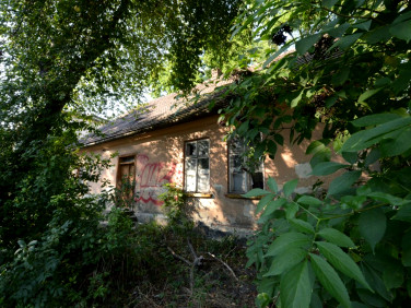 Dom Kraków