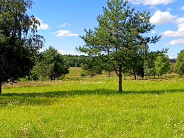 Działka Brożówka