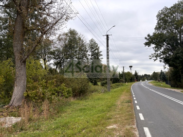 Działka budowlana Wilków Polski