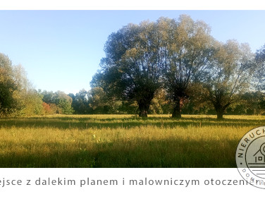 Działka budowlano-rolna Stare Gniewniewice sprzedam