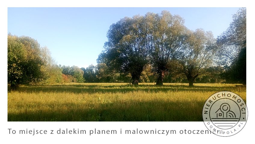 Działka budowlano-rolna Stare Gniewniewice sprzedam