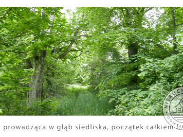 Działka siedliskowa sprzedam