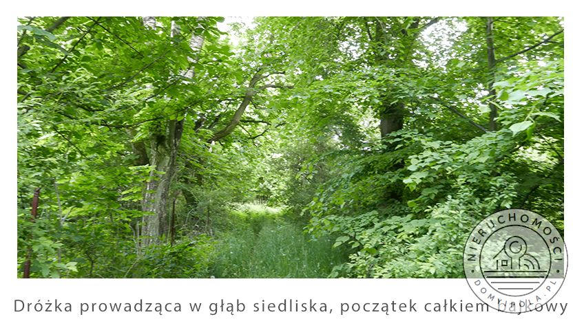 Działka siedliskowa sprzedam