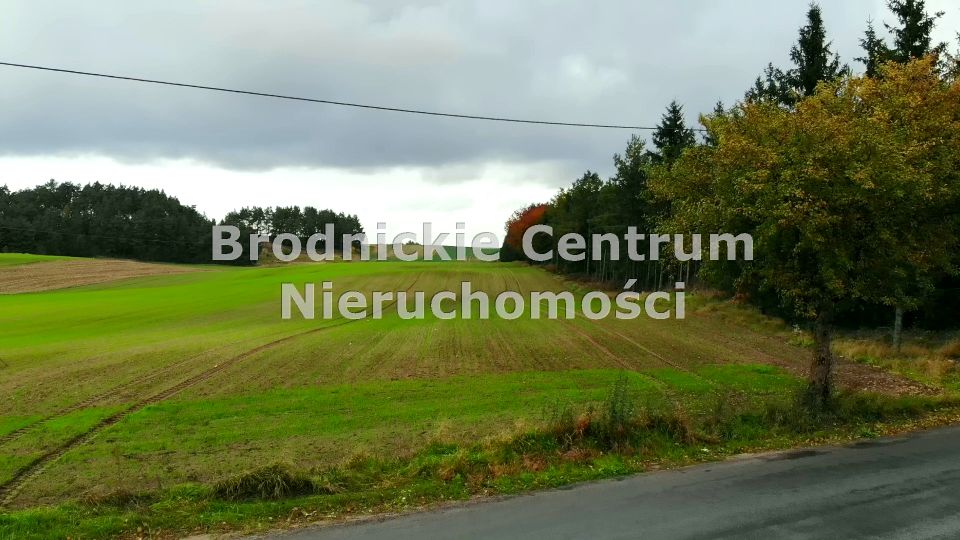 Zdjęcie 3