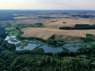 Działka Róża Wielka