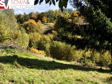 Działka Niedźwiedzica