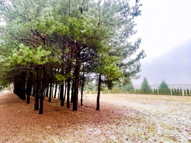 Działka inna Cyganka