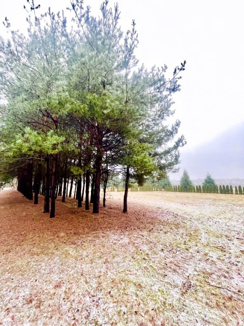 Działka inna Cyganka