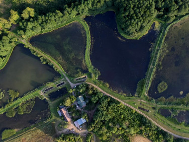 Działka Róża Wielka