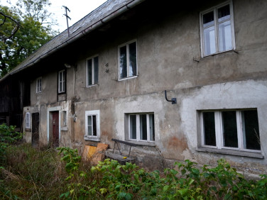 Dom Lwówek Śląski