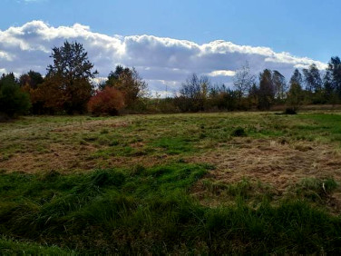 Działka budowlana Brodła