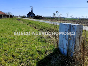 Działka budowlana Milejowice