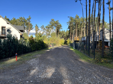 Działka leśna sprzedam