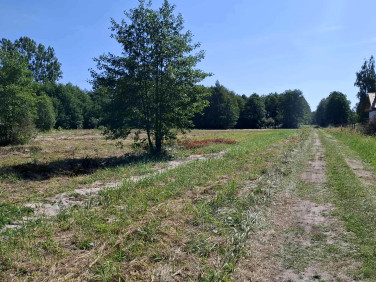 Działka budowlana Radziwiłłów